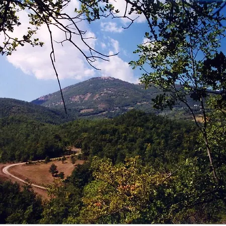 Monte Acuto