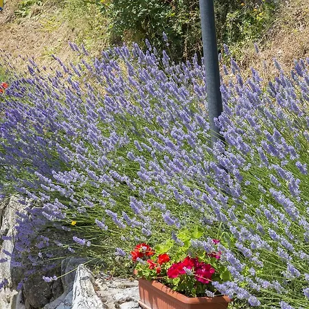 Farm stay Monte Acuto *
