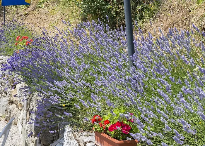 Farmház Monte Acuto *